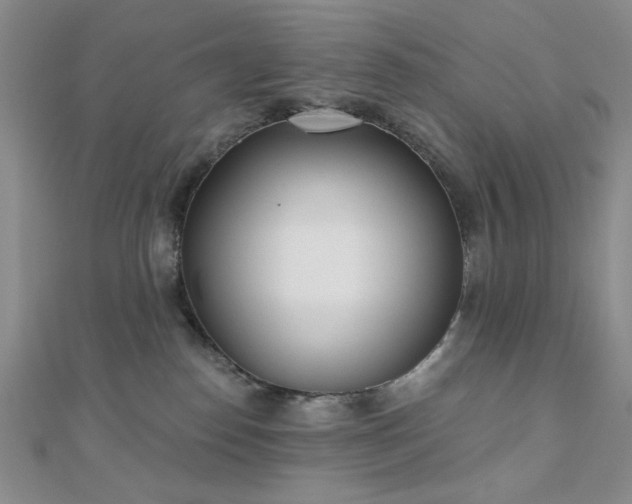 X0000110900186200906181330