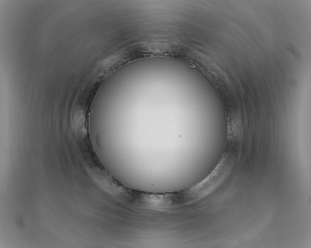 X0000110900187200906181330
