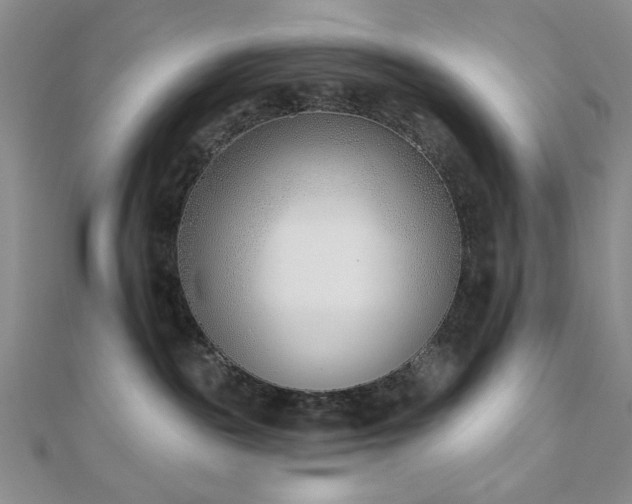 X0000110900189200906181330