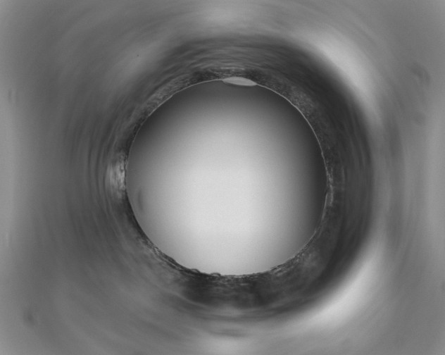 X0000110900190200906181330
