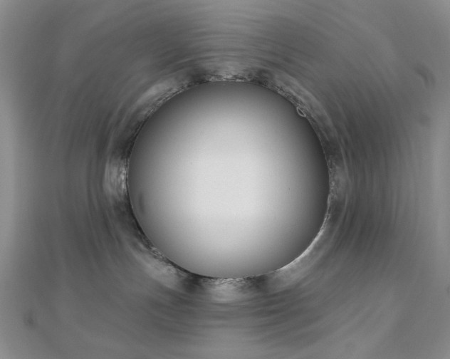 X0000110900191200906181330