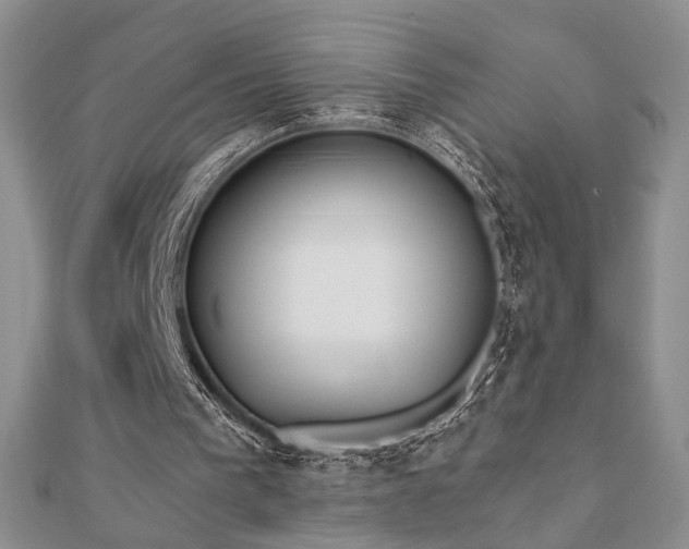 X0000110900193200906181329