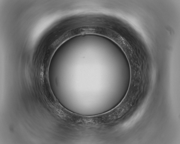 X0000110900194200906181329
