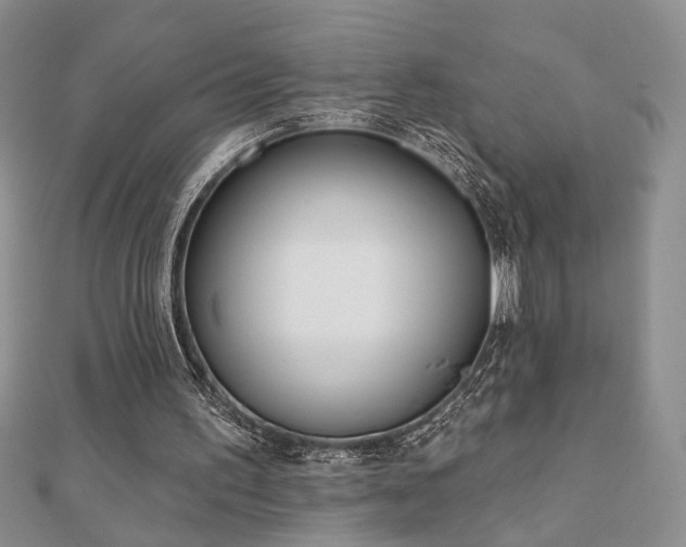 X0000110900195200906181329