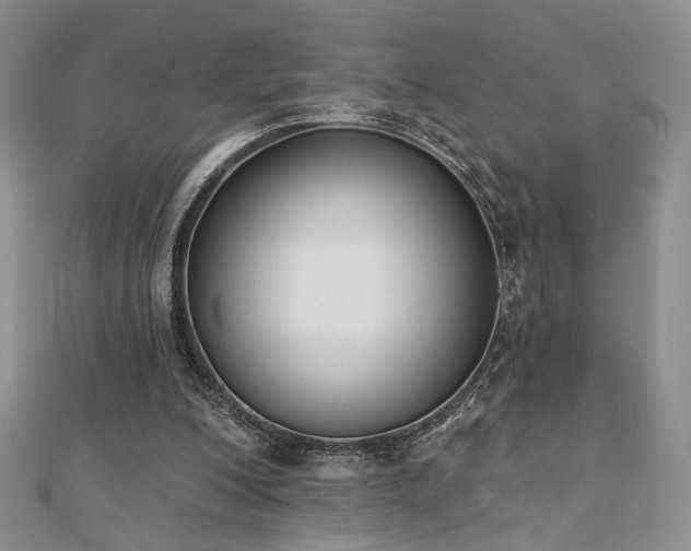 X0000110900200200906181329