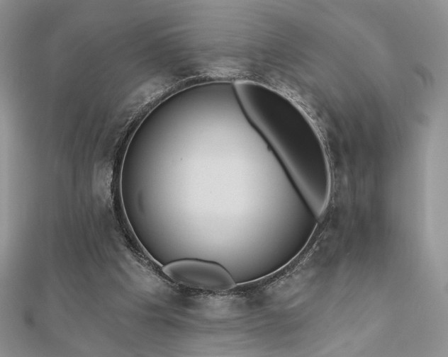 X0000110900201200906181329