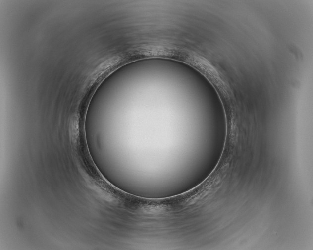 X0000110900202200906181329