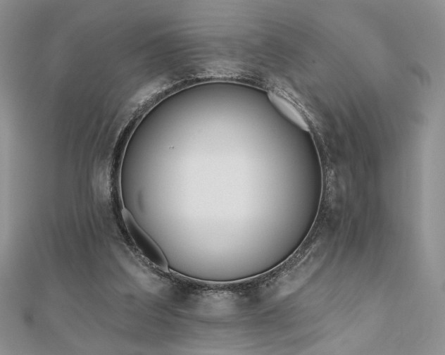 X0000110900203200906181329