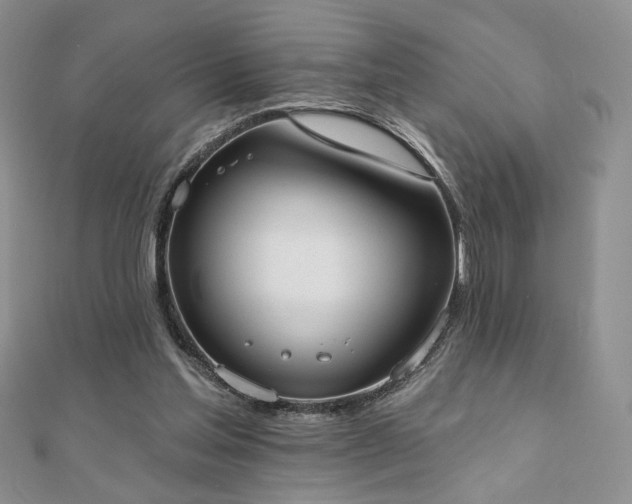 X0000110900205200906181329