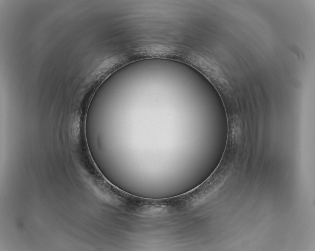 X0000110900206200906181329