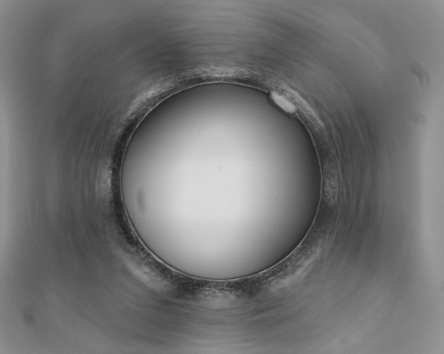 X0000110900207200906181329
