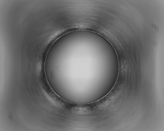 X0000110900208200906181329