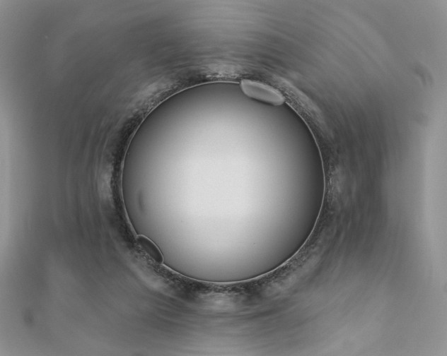 X0000110900209200906181329