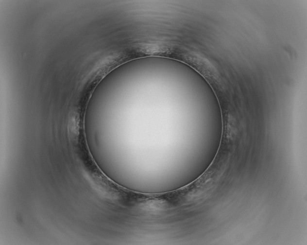 X0000110900210200906181329