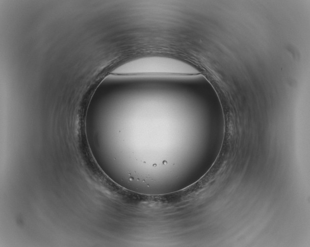 X0000110900211200906181329