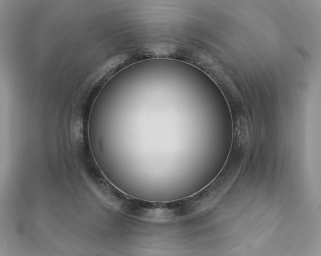 X0000110900212200906181329