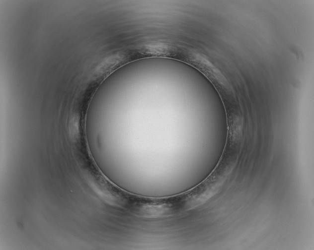 X0000110900213200906181329