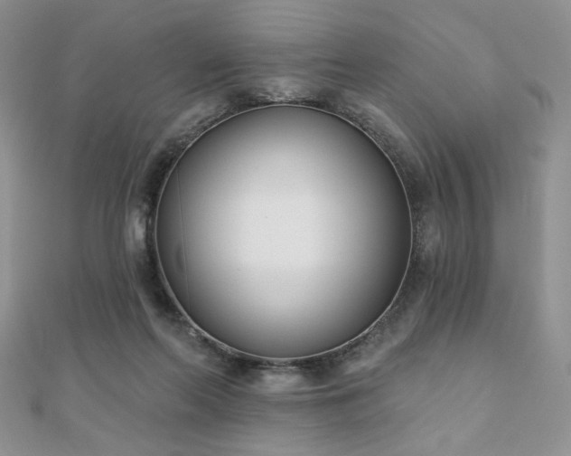 X0000110900214200906181329