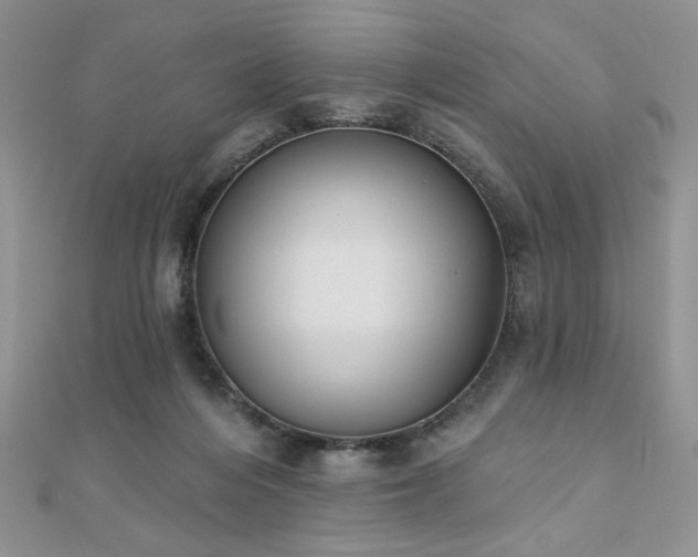 X0000110900216200906181329