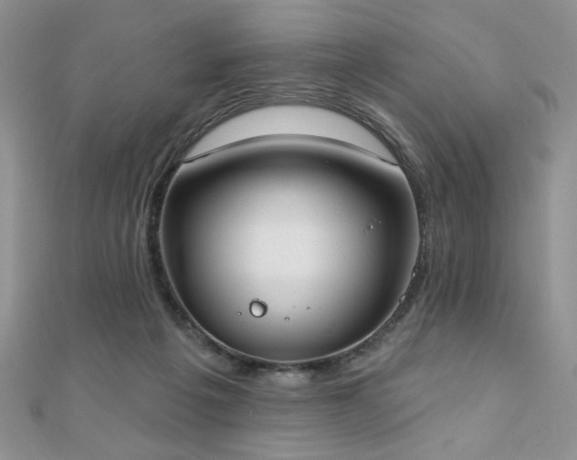 X0000110900217200906181329