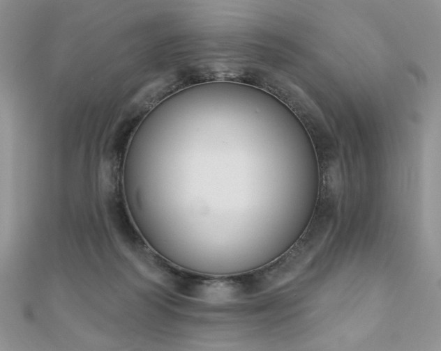 X0000110900218200906181329