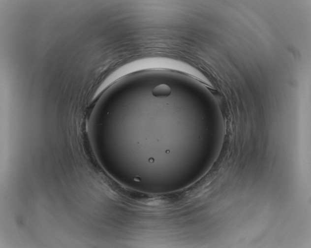 X0000110900219200906181329