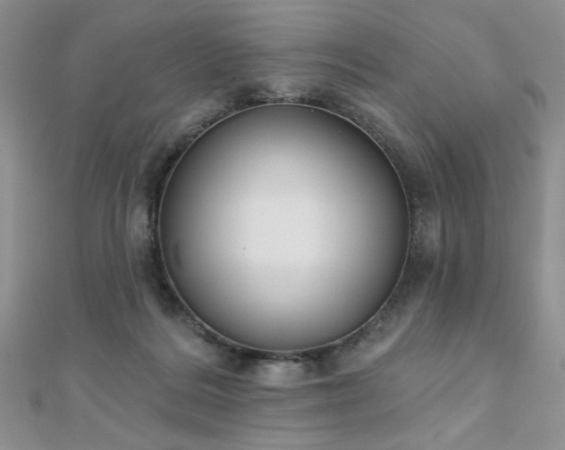 X0000110900220200906181329