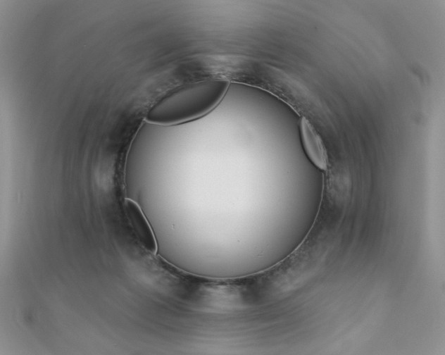 X0000110900221200906181329