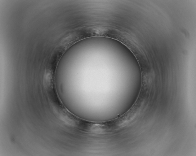 X0000110900222200906181329