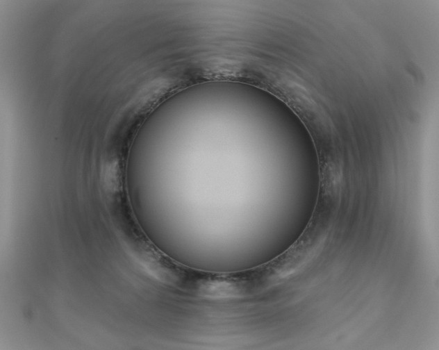 X0000110900224200906181329