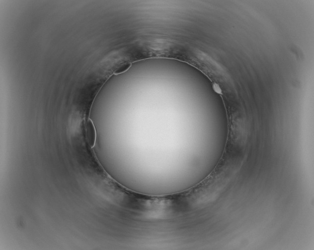 X0000110900225200906181329