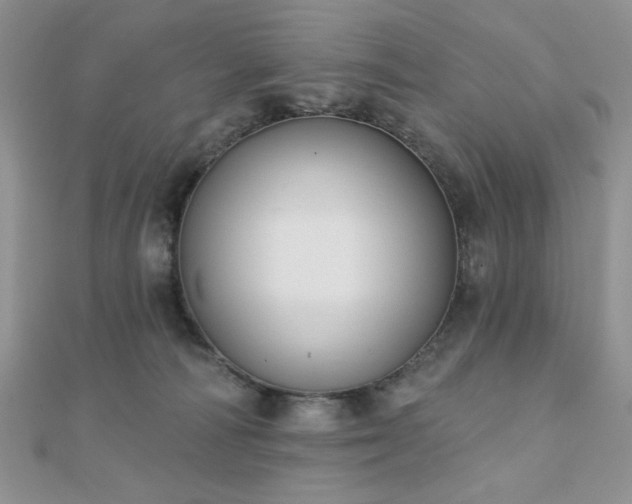 X0000110900226200906181329