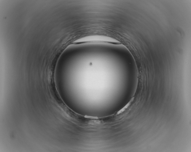 X0000110900227200906181329