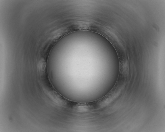 X0000110900228200906181329