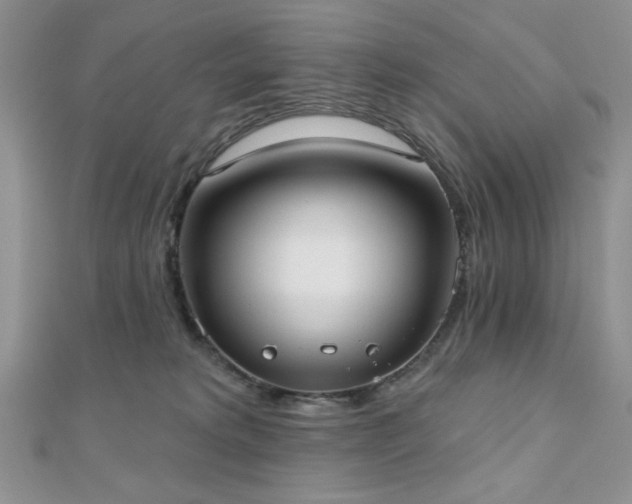 X0000110900229200906181329