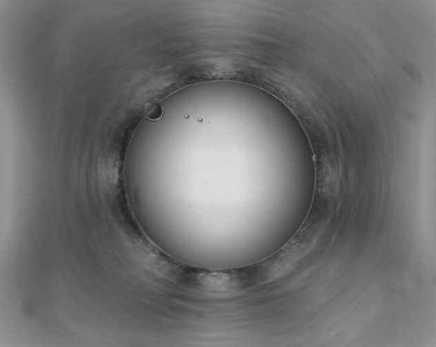 X0000110900230200906181329