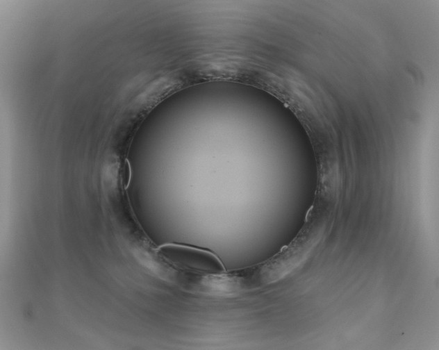 X0000110900231200906181329