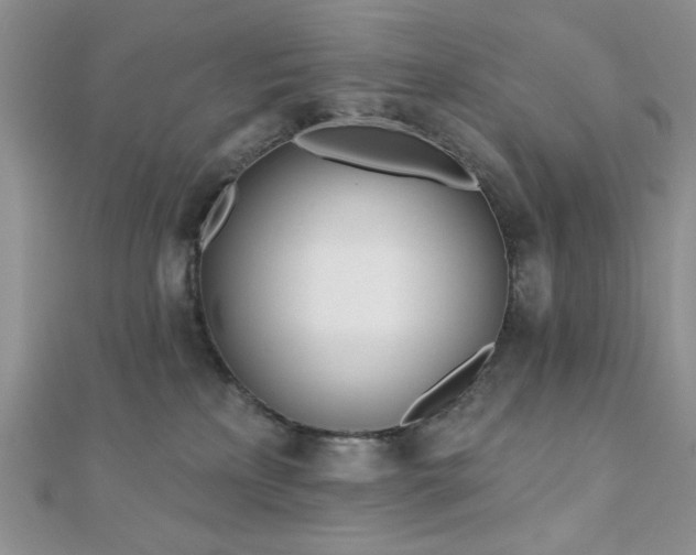 X0000110900233200906181329