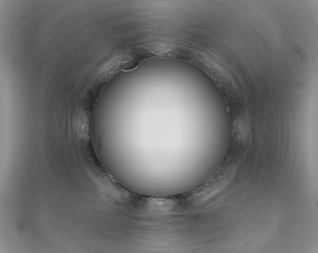 X0000110900234200906181329