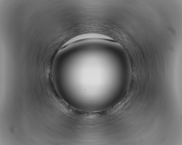 X0000110900235200906181329
