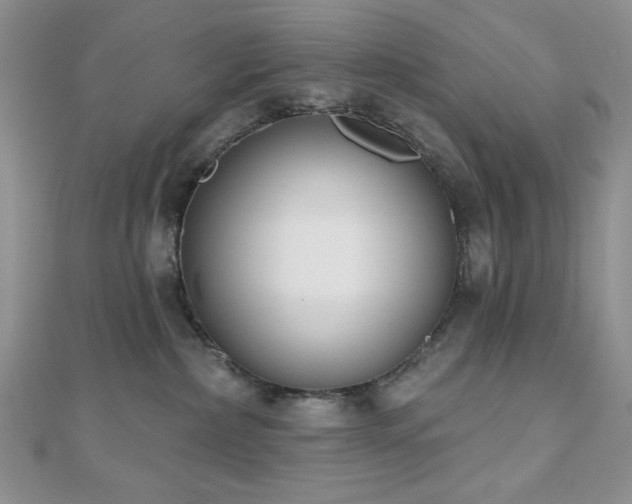 X0000110900236200906181329