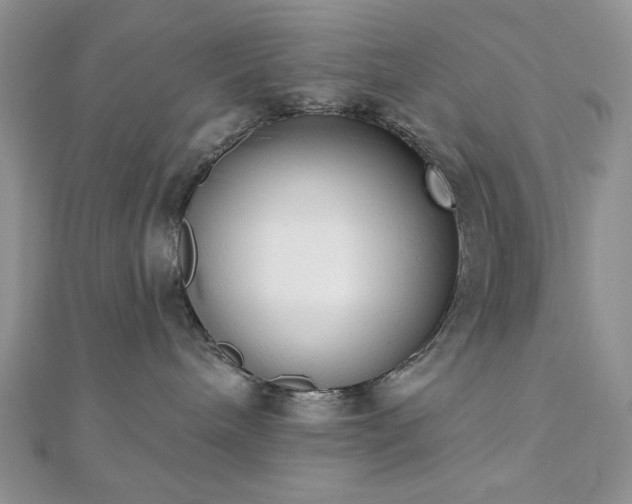 X0000110900240200906181329