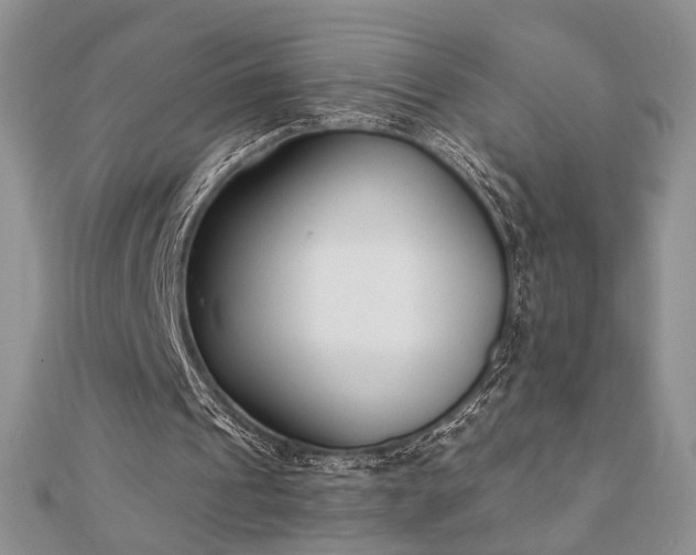 X0000110900241200906181328