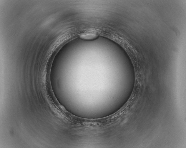 X0000110900242200906181328