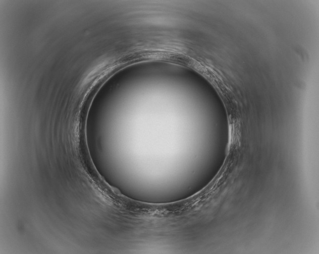 X0000110900243200906181328