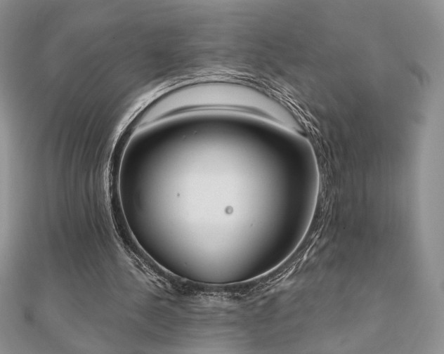 X0000110900244200906181328