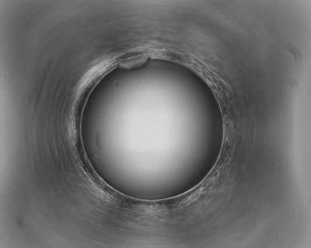 X0000110900245200906181328