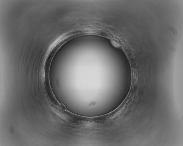 X0000110900246200906181328