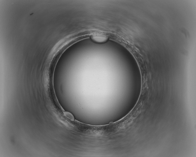 X0000110900247200906181328