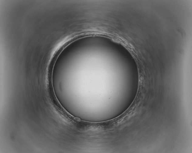 X0000110900248200906181328